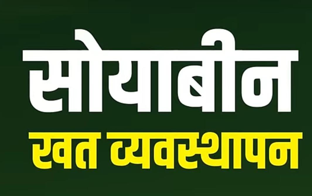 सोयाबीन खत व्यवस्थापन