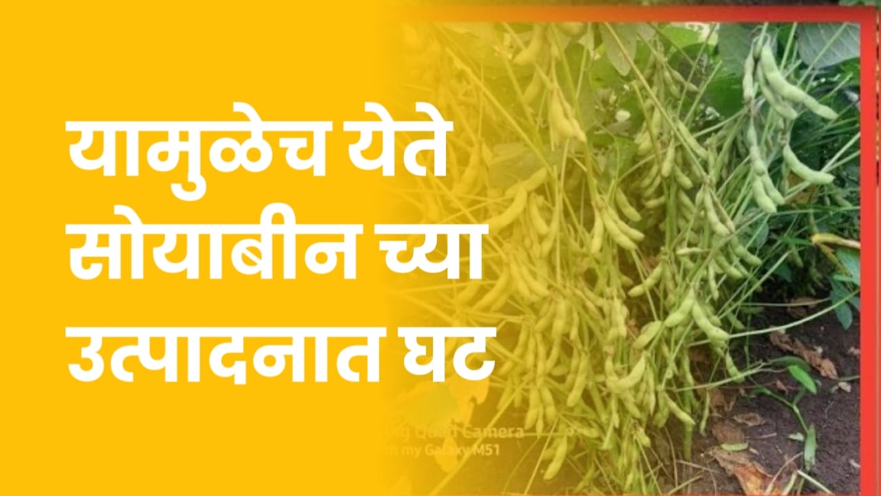 सोयाबीन लागवड नियोजन