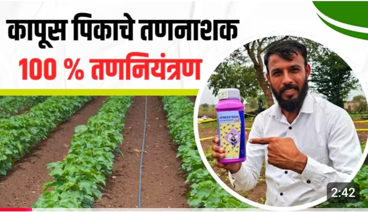 कापूस तननाशक