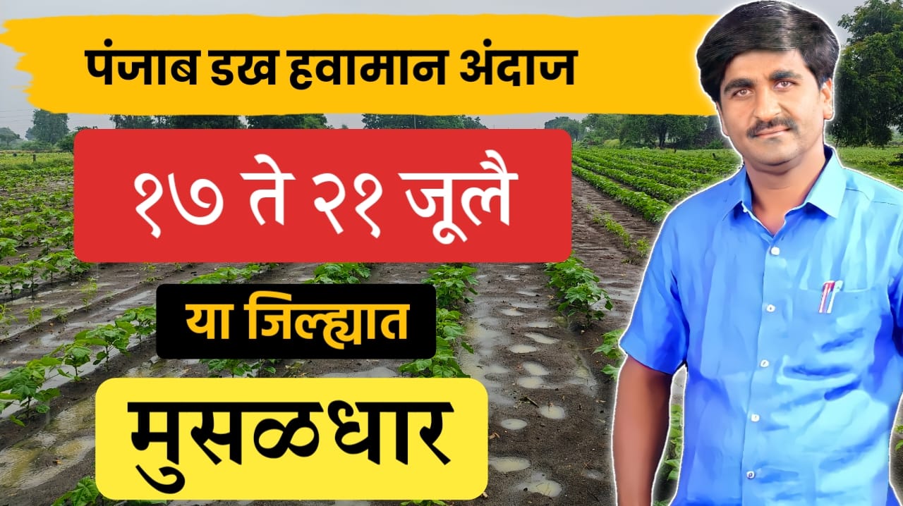 पंजाब डख हवामान अपडेट